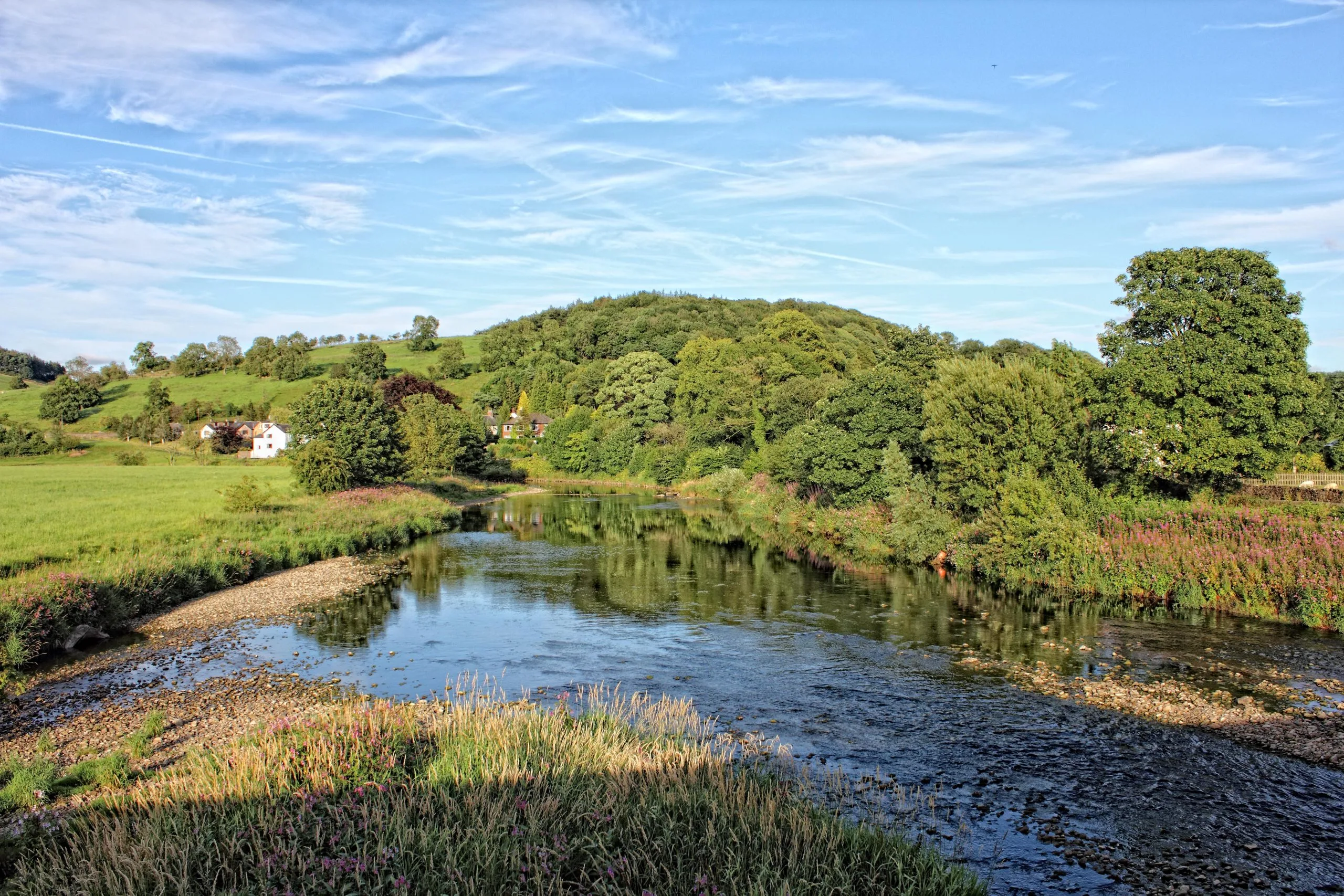 Dog-Friendly Pub with Rooms in the Ribble Valley | The Spread Eagle